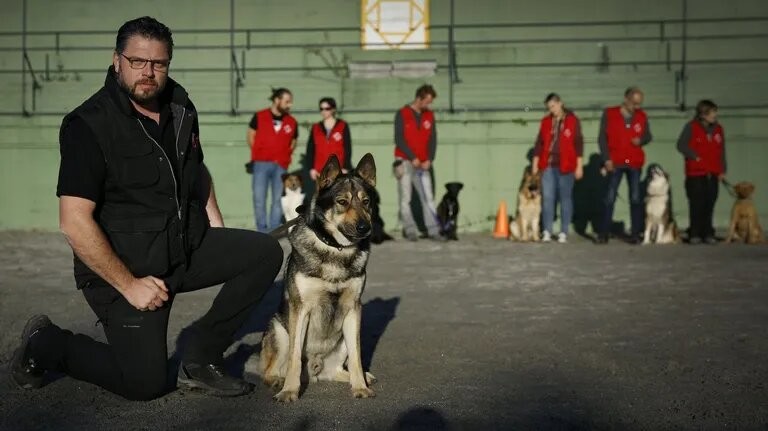 Adiestradores Caninos y Guardería para Perros en A Coruña