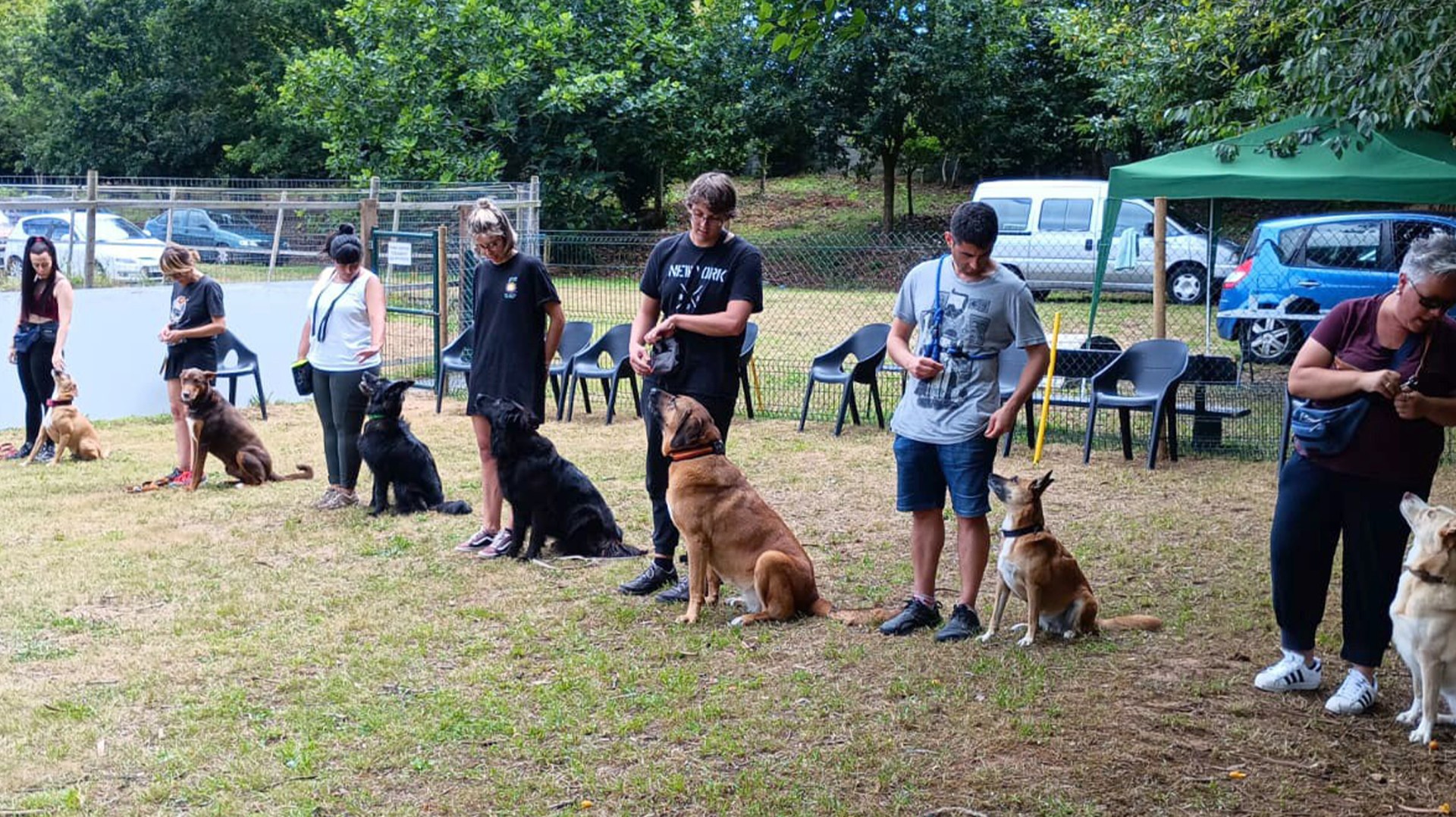 Cursos de Adiestrador Canino Profesional en A Coruña